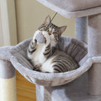 Chat couché dans le hamac de l'arbre à Chat pour Chaton