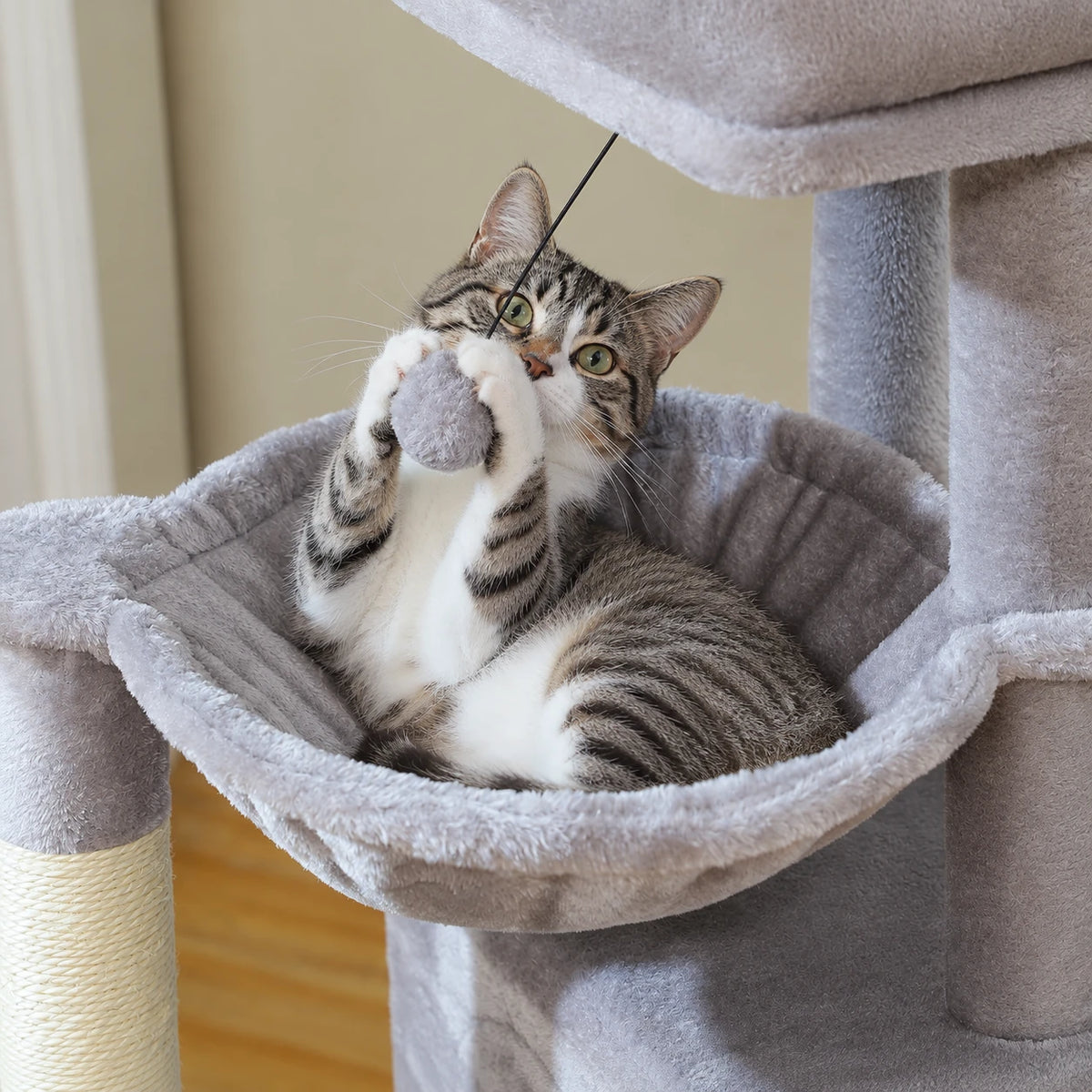 Chat couché dans le hamac de l'arbre à Chat pour Chaton