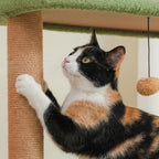 Pompon suspendu de l'l'arbre à Chat Escalier