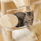 Chat faisant ses griffes sur l'arbre à Chat Moyen