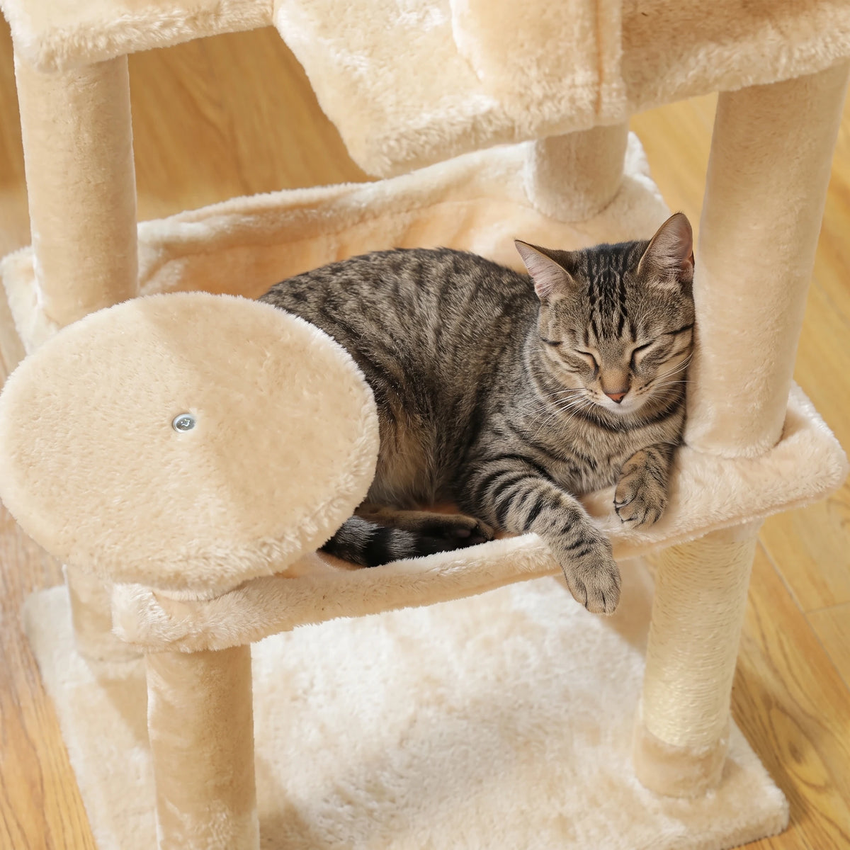 Chat faisant ses griffes sur l'arbre à Chat Moyen