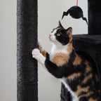 Jouet araignée suspendu de l'l'arbre à Chat Halloween