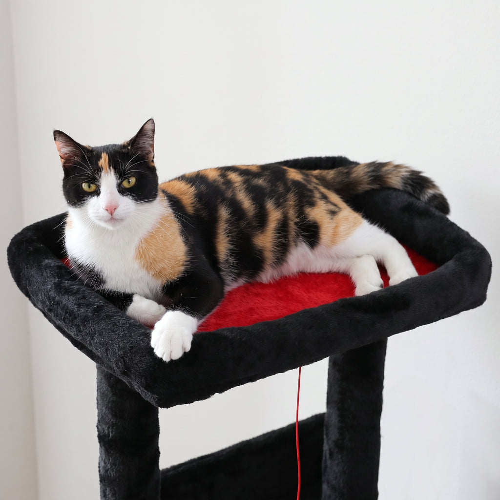 Chat allongé sur le perchoir de l'arbre à Chat Halloween