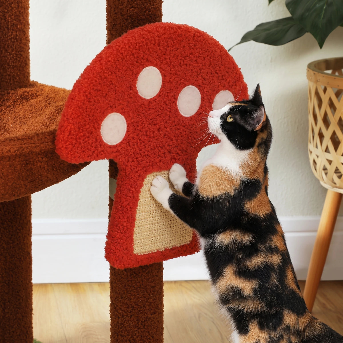 Chat faisant ses griffes sur l'arbre à Chat Champignon