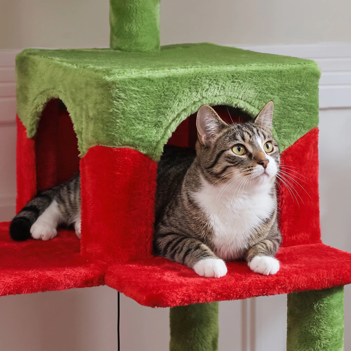 Chat installé dans la niche de l'arbre à Chat Sapin