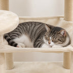 Chat allongé sur le perchoir de l'arbre à Chat Solide