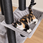 Chat couché dans le hamac de l'arbre à Chat XXL Solide