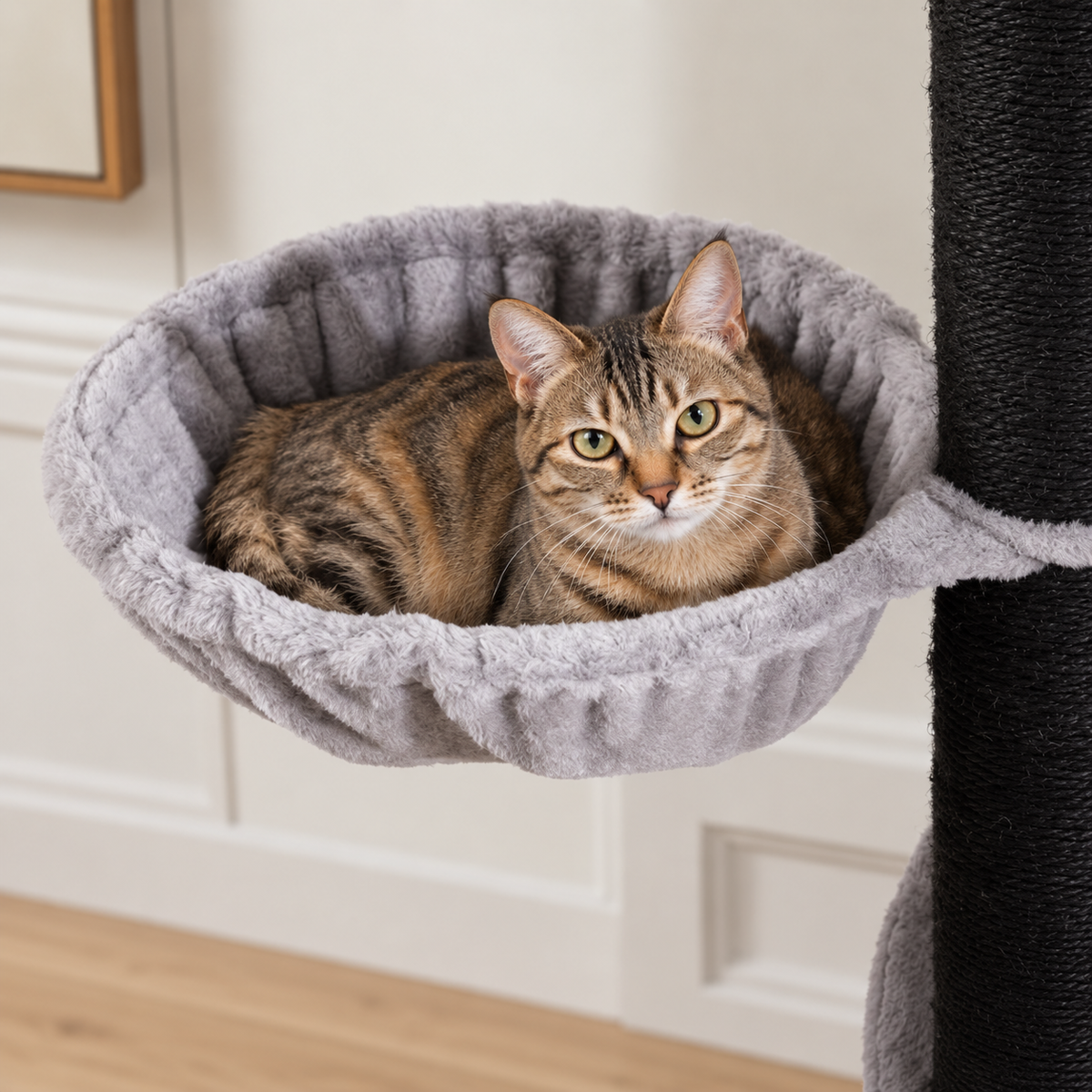 Chat installé dans le panier de l'arbre à Chat XXL Solide