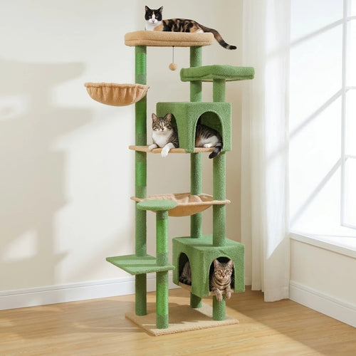 Arbre à Chat 2 Chats installé dans un salon lumineux