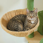 Chat blotti dans le panier de l'arbre à Chat 2 Chats