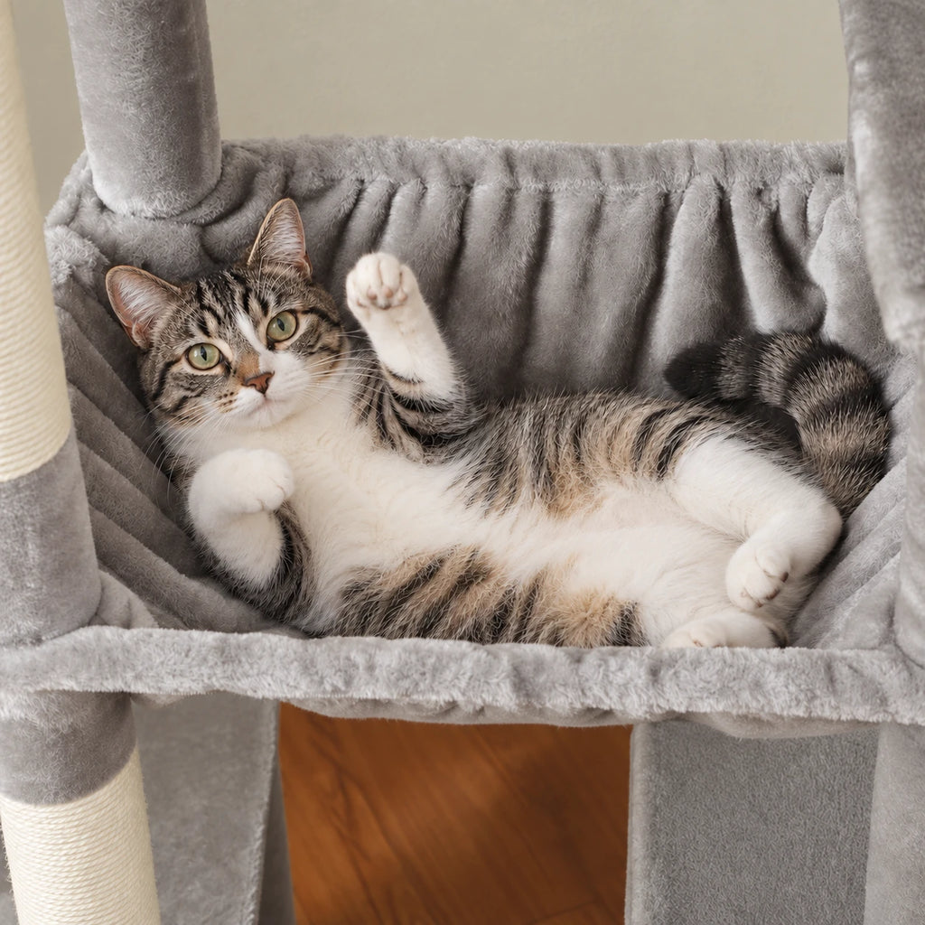 Chat couché dans le hamac de l'arbre à Chat 180 cm