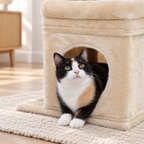Chat caché dans la niche en peluche beige de l'arbre à chat compact