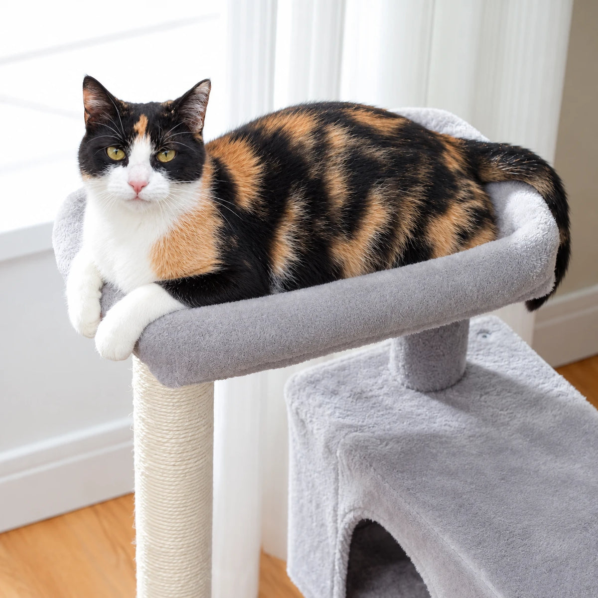 Chat allongé sur le perchoir de l'arbre à Chat Pas Cher