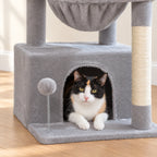 Chat installé dans la niche de l'arbre à Chat 4 en 1