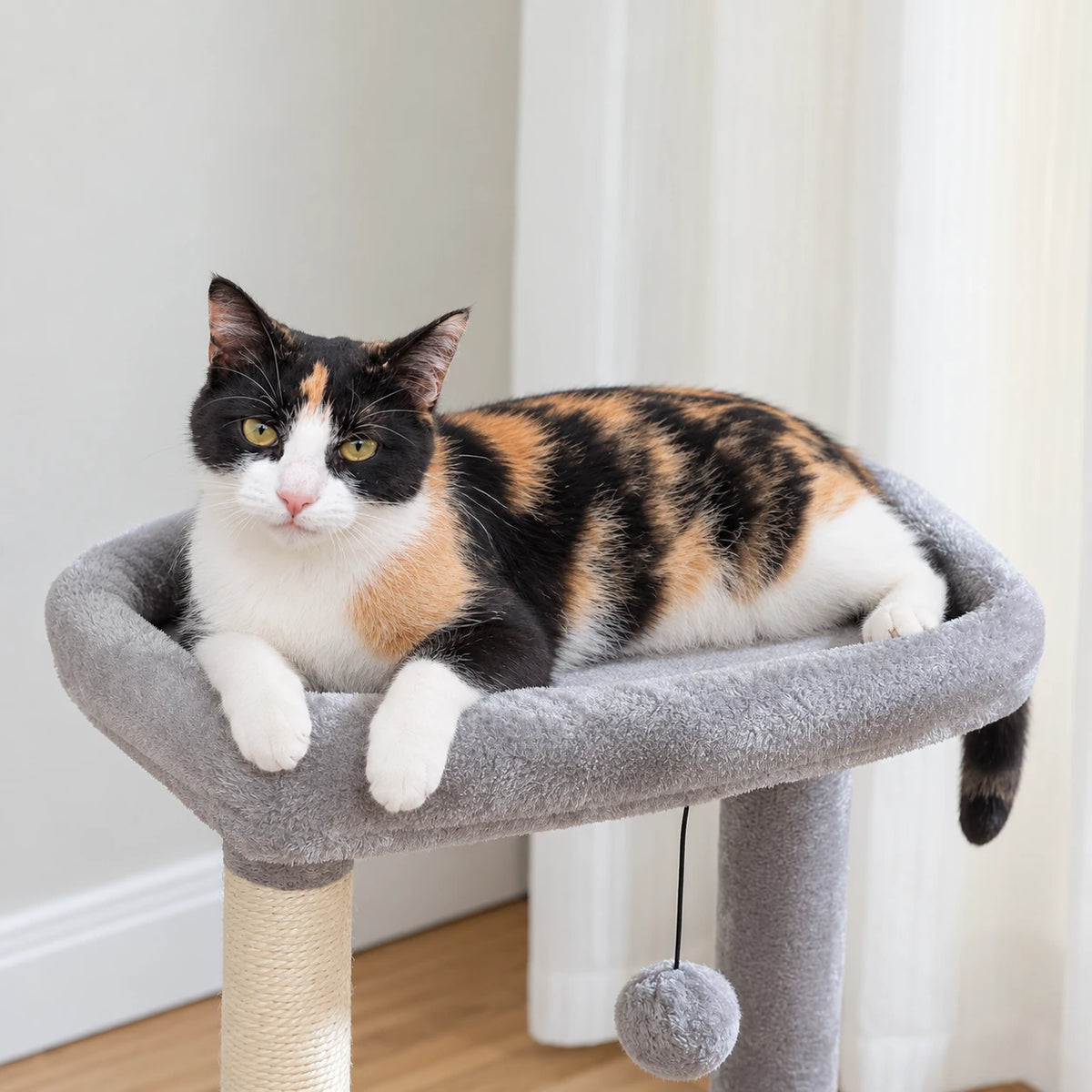 Chat allongé sur le perchoir de l'arbre à Chat 4 en 1