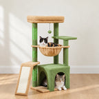 Chat installé dans la niche de l'arbre à Chat Coloré