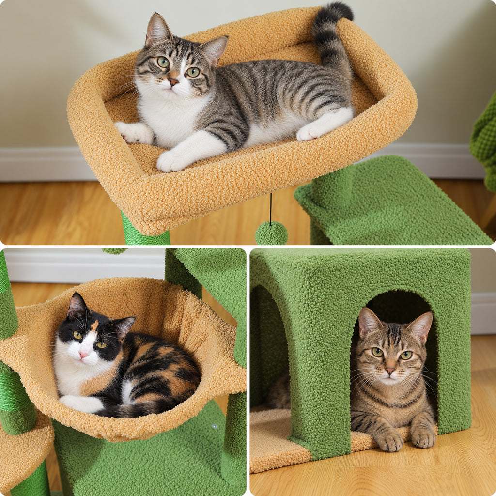 Chat installé dans le panier de l'arbre à Chat Coloré