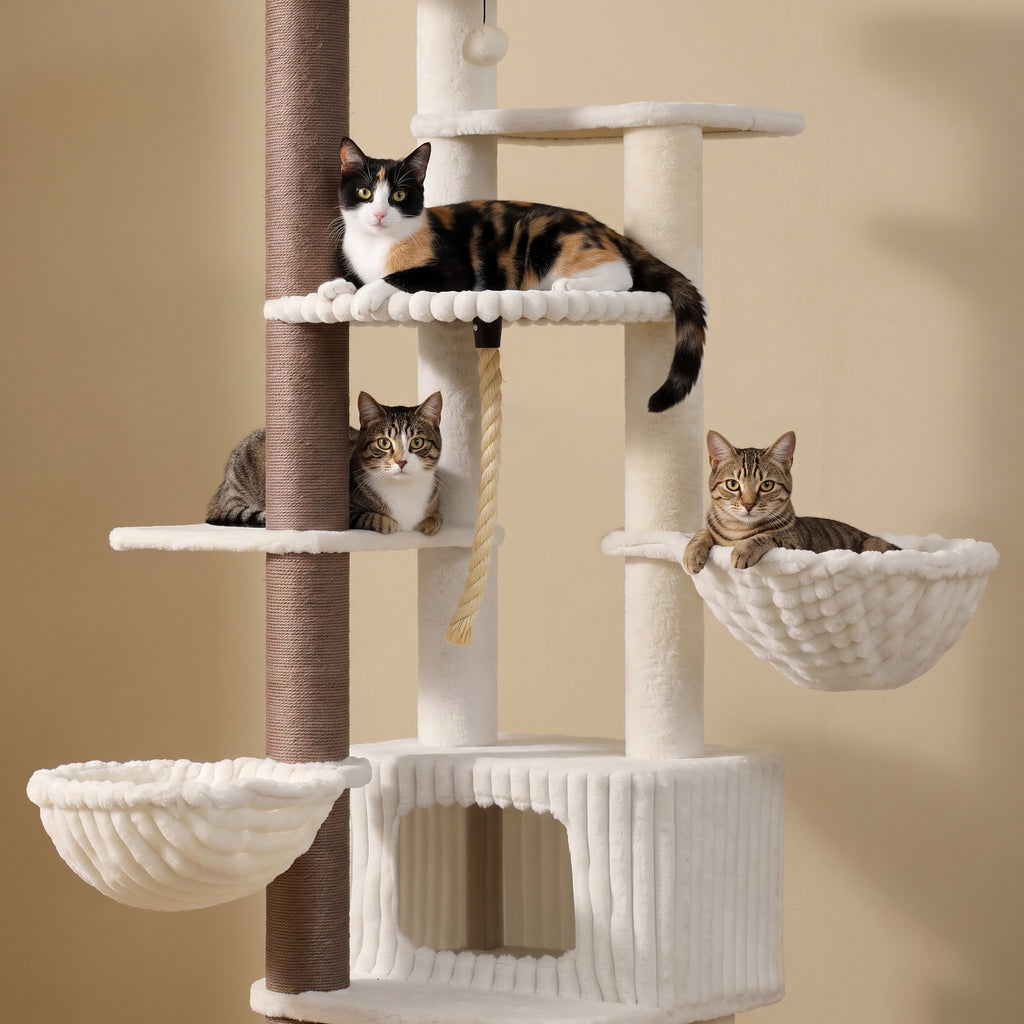Chat allongé sur le perchoir de l'arbre à Chat Géant