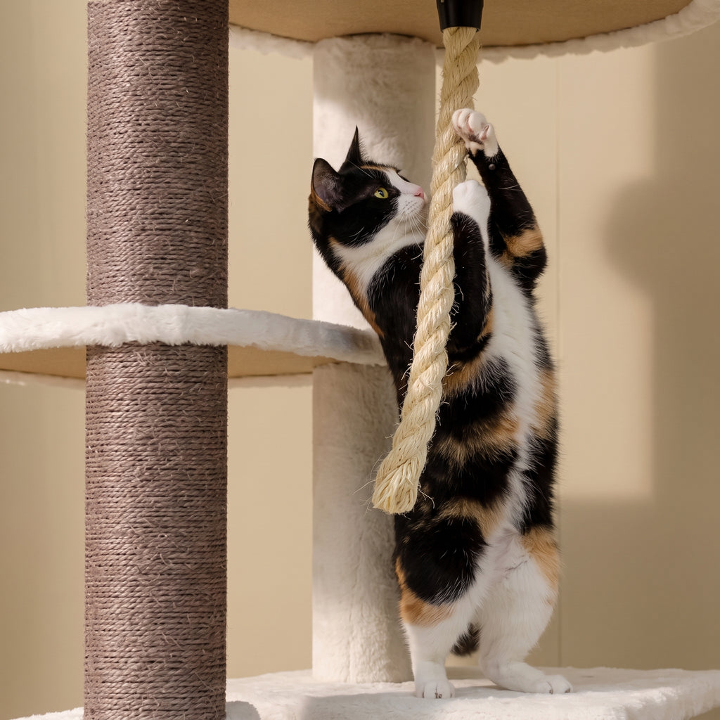 Chat faisant ses griffes sur l'arbre à Chat Géant