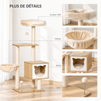 Caractéristiques détaillées de l'l'arbre à Chat Bois Naturel