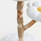 Tronc en bois véritable de l'l'arbre à Chat Blanc