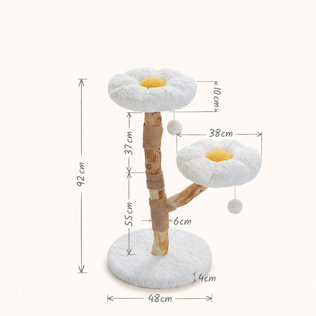 Schéma coté de l'arbre à Chat Blanc avec toutes les dimensions
