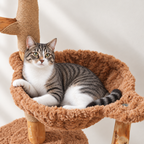 Chat allongé sur le perchoir de l'arbre à Chat Fleur