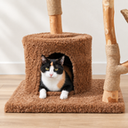 Chat installé dans la niche de l'arbre à Chat Fleur