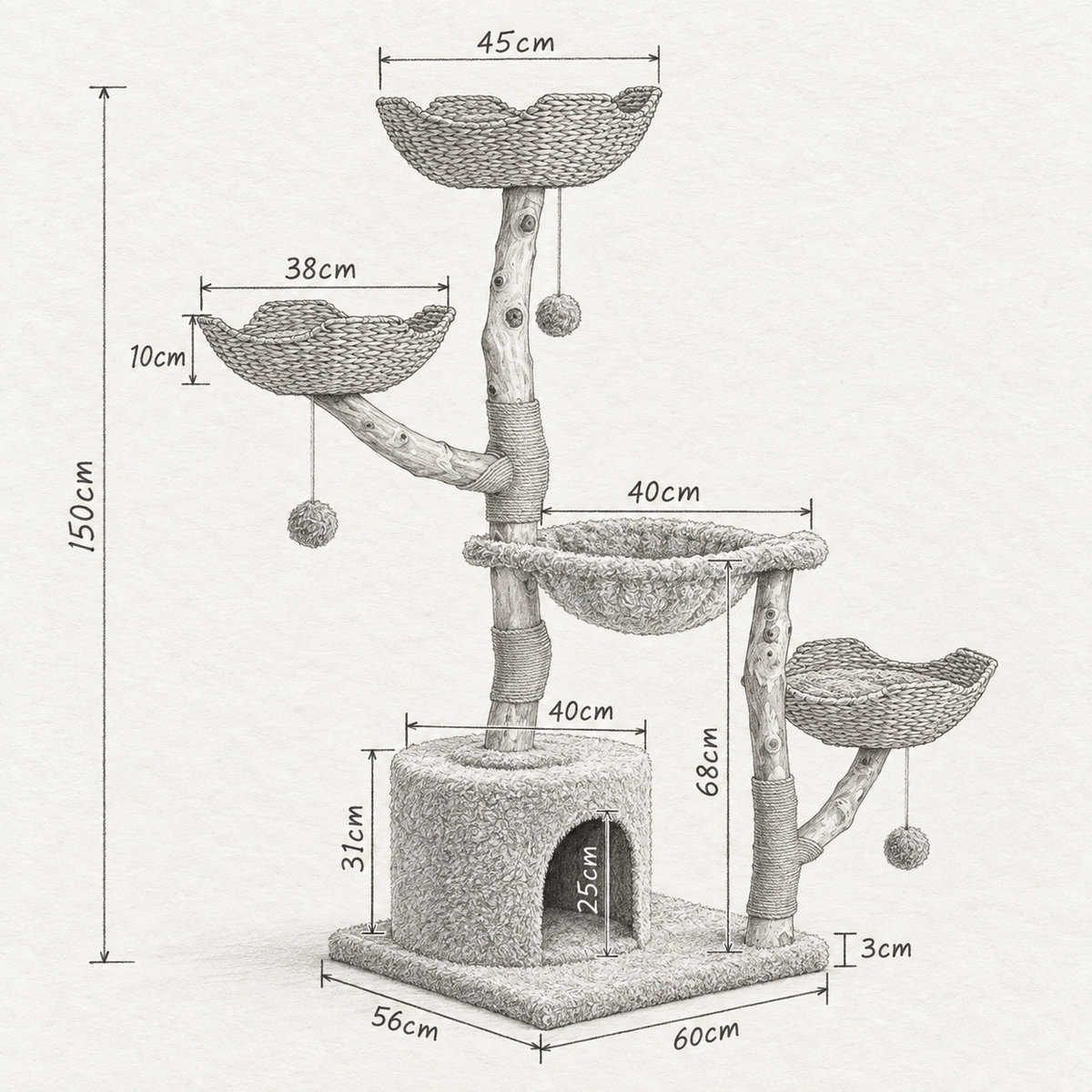 Schéma coté de l'arbre à Chat Fleur avec toutes les dimensions