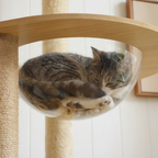 Chat couché dans le hamac de le grand Arbre à Chat en Bois