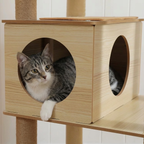 Chat installé dans la niche de le grand Arbre à Chat en Bois