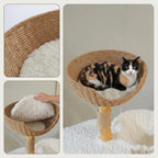 Niche et plateformes de l'l'arbre à Chat Design Scandinave