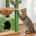 Chat grattant le poteau en sisal de l'arbre à Chat Vert