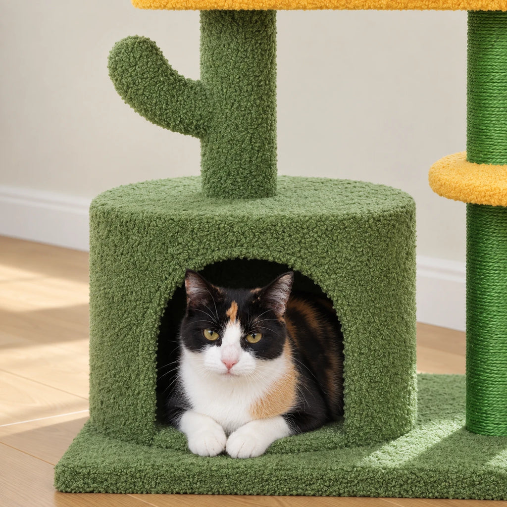 Chat installé dans la niche de l'arbre à Chat Cactus Design