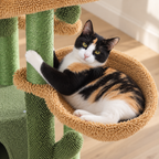 Chat installé dans le panier de l'arbre à Chat Cactus