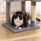 Arche brosse de l'l'arbre à Chat Confortable