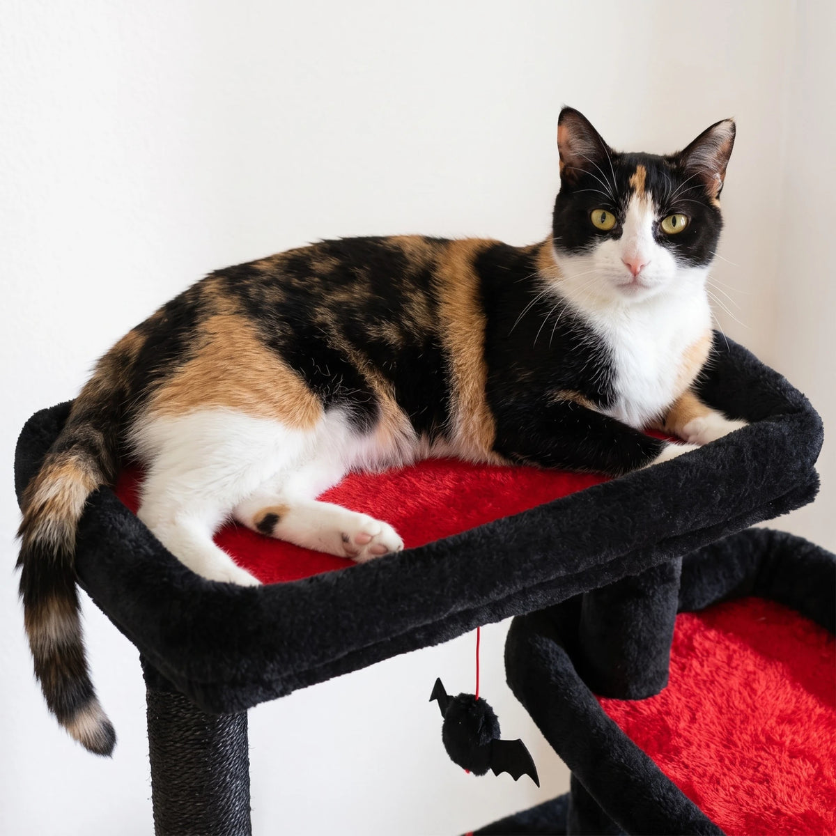 Araignée en peluche suspendue du grand arbre à chat halloween