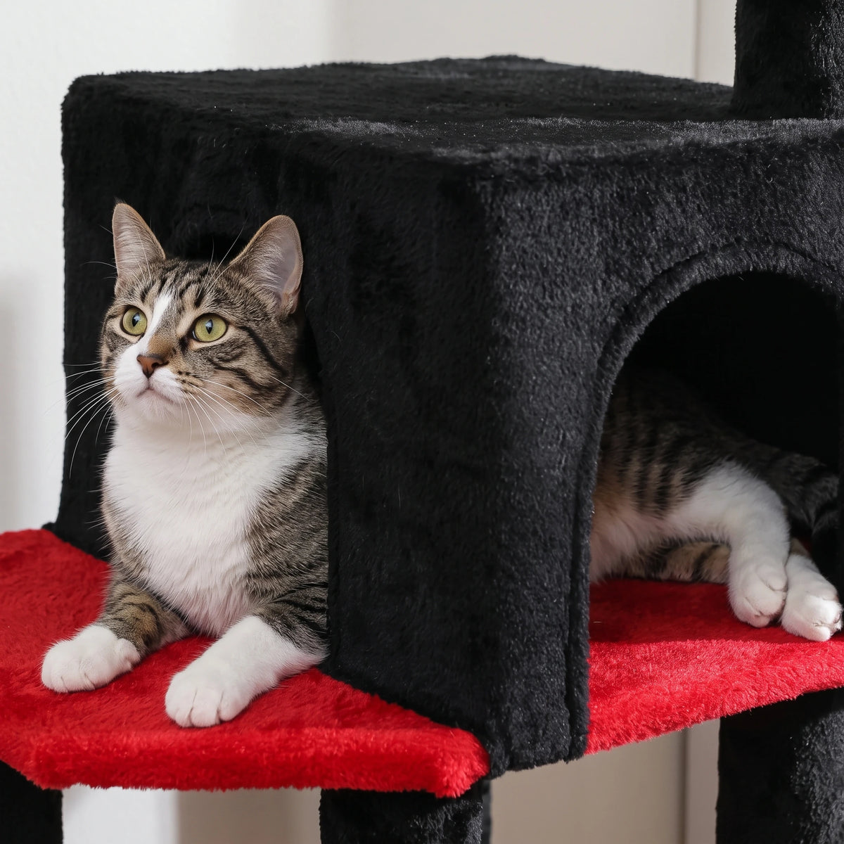 Chat caché dans la niche du grand arbre à chat halloween