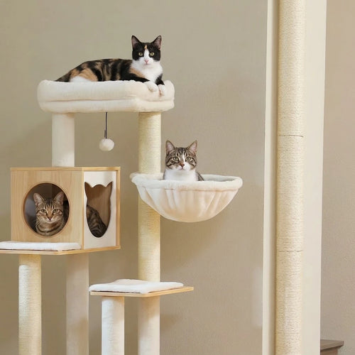 Chat allongé sur le perchoir de l'arbre à Chat avec Litière