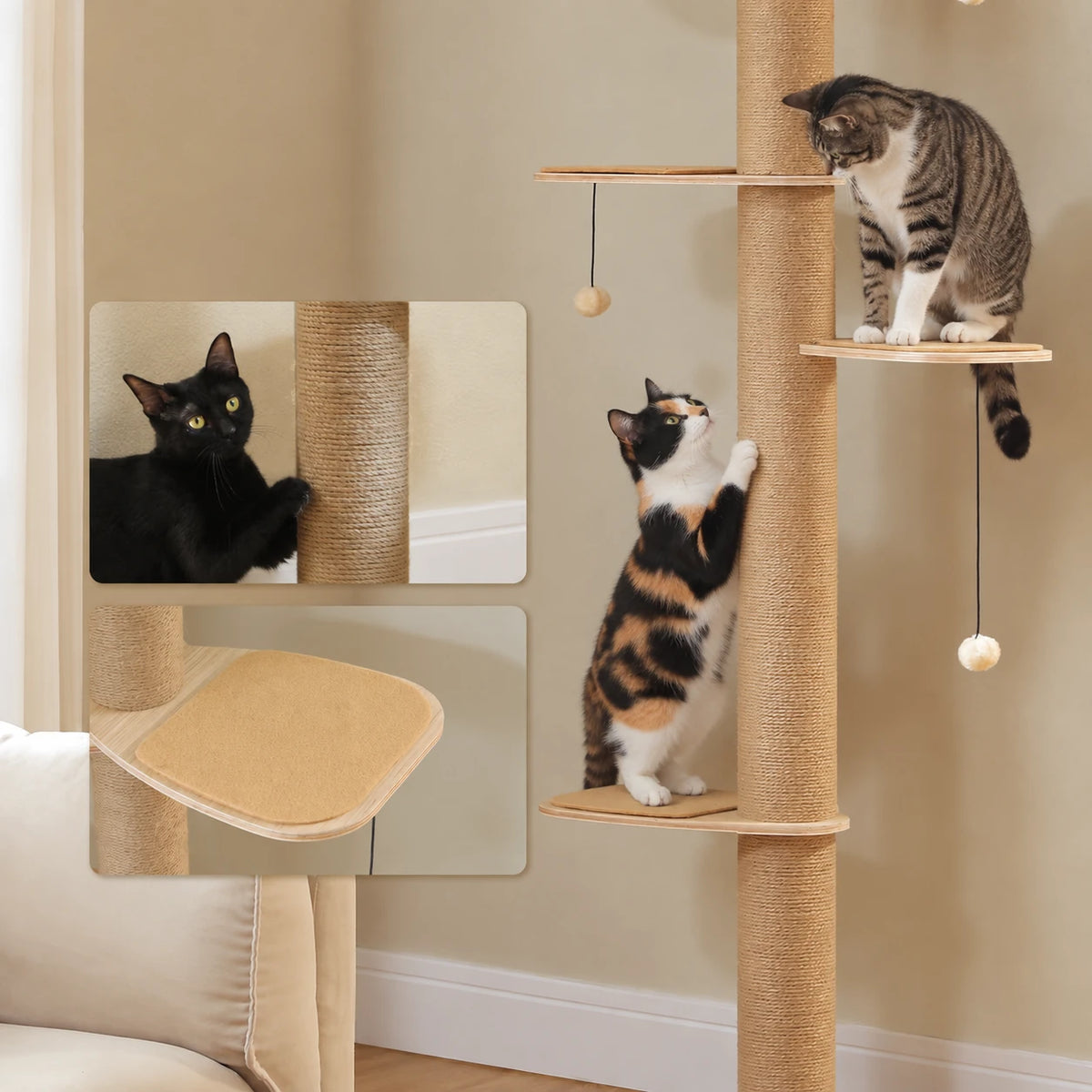 Chat allongé sur le perchoir de l'arbre à Chat Bois Massif