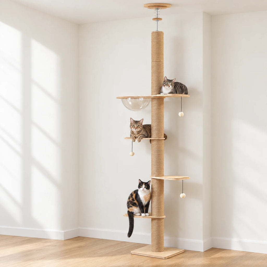 Arbre à Chat Bois Massif installé dans un salon lumineux