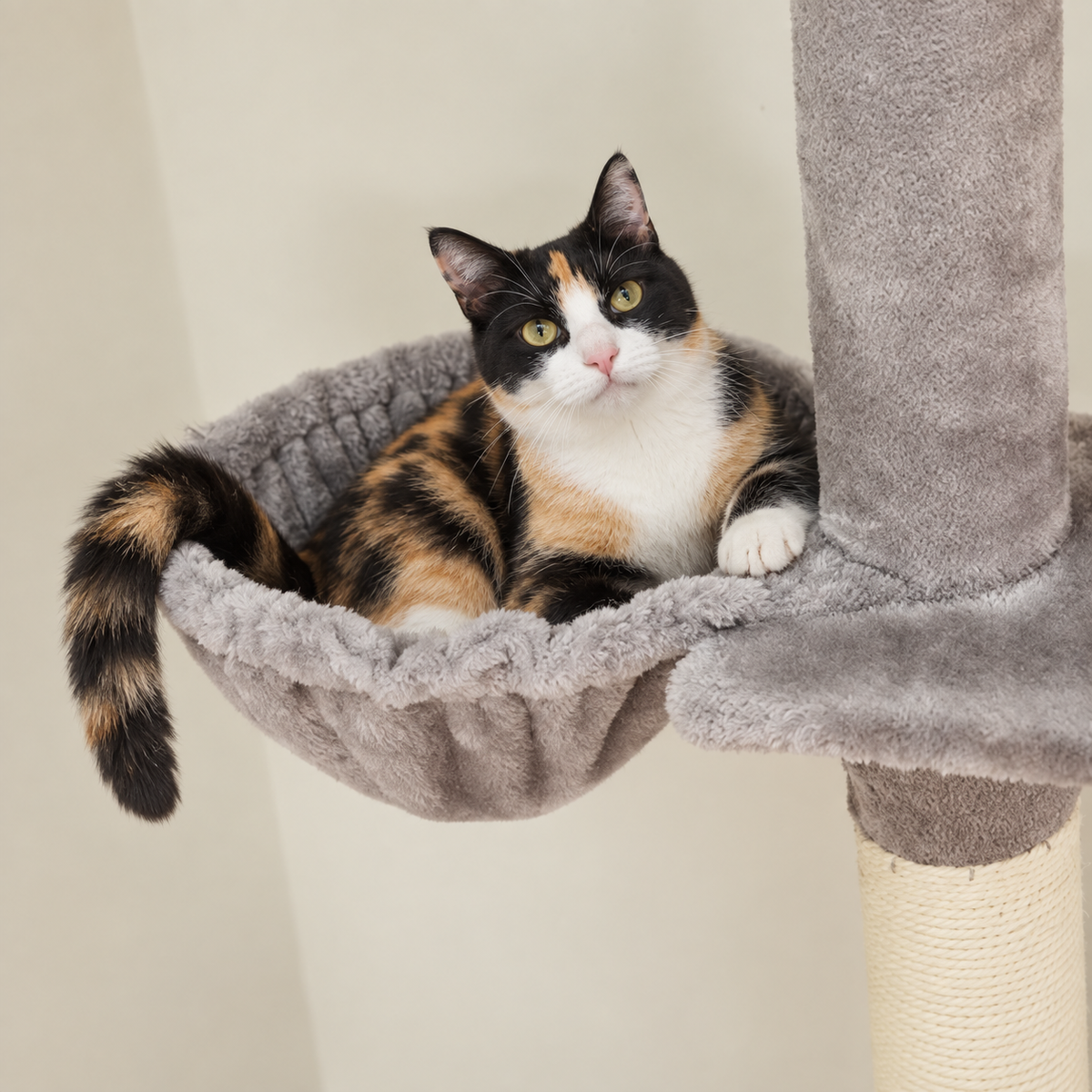 Chat couché dans le hamac de l'arbre à Chat Sol Plafond
