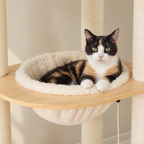 Chat installé dans le panier de l'arbre à Chat Géant Ajustable
