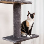 Chat allongé sur le perchoir de l'arbre à Chat Plafond