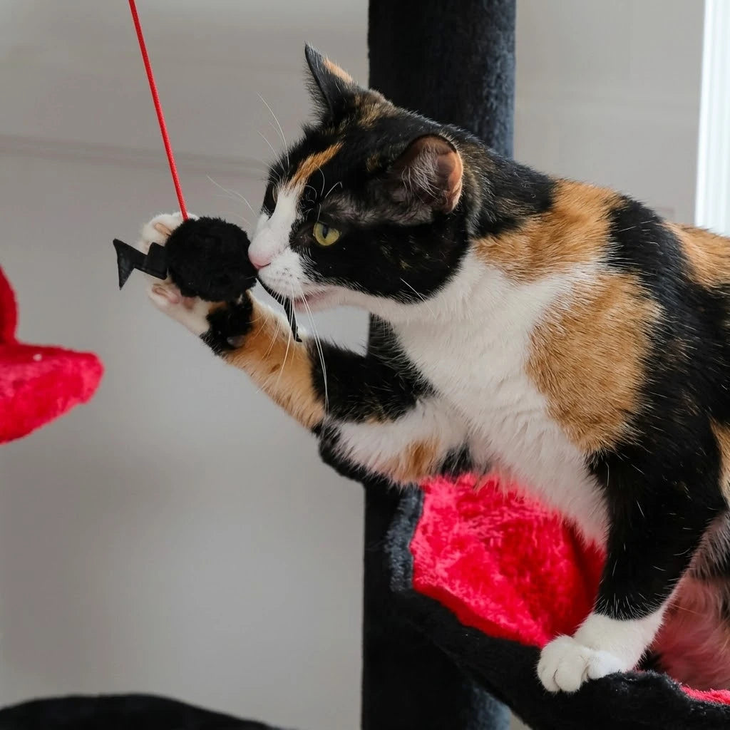 Chat jouant avec le jouet rouge de l'arbre à chat halloween sol au plafond