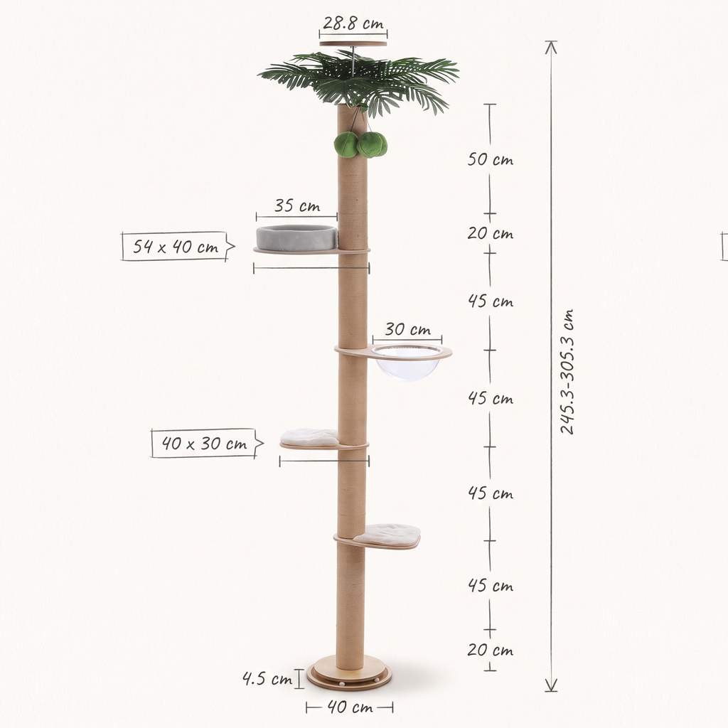 Schéma coté de l'arbre à Chat Palmier avec toutes les dimensions