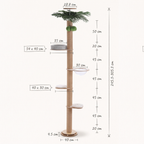Schéma coté de l'arbre à Chat Palmier avec toutes les dimensions