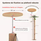 Fixation au plafond de l'l'arbre à Chat Palmier