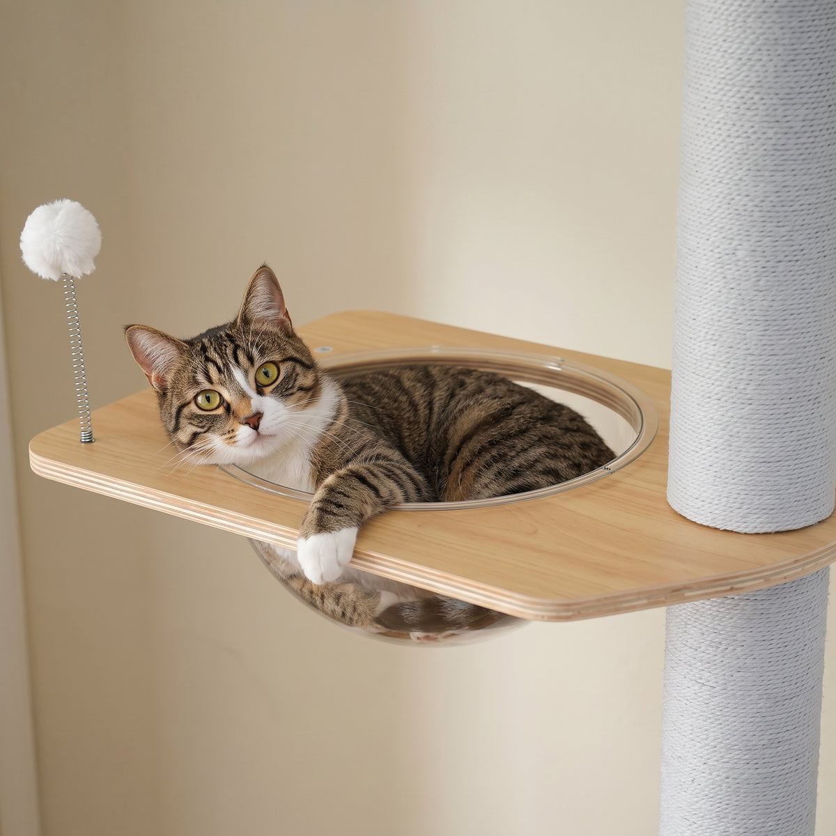 Chat allongé sur le perchoir de l'arbre à Chat Design Luxe