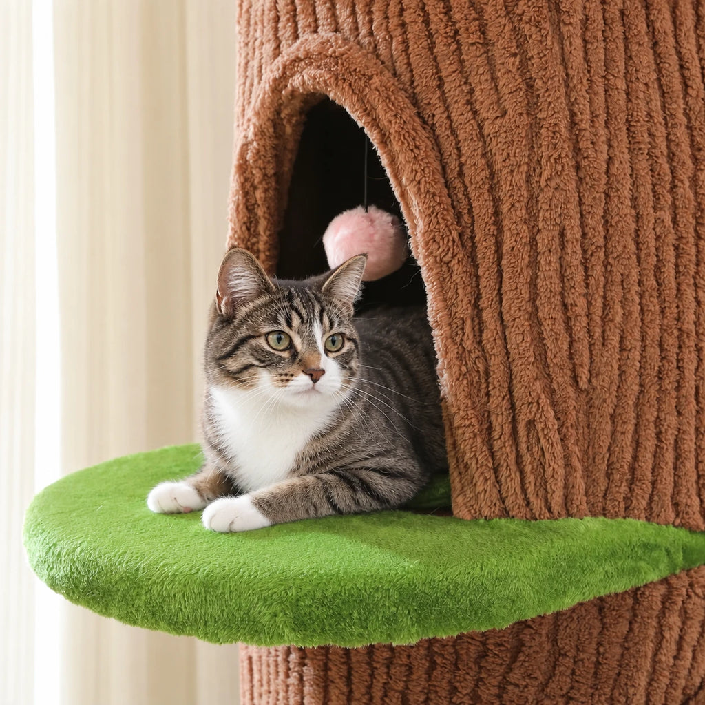 Chat allongé sur le perchoir de l'arbre à Chat Original